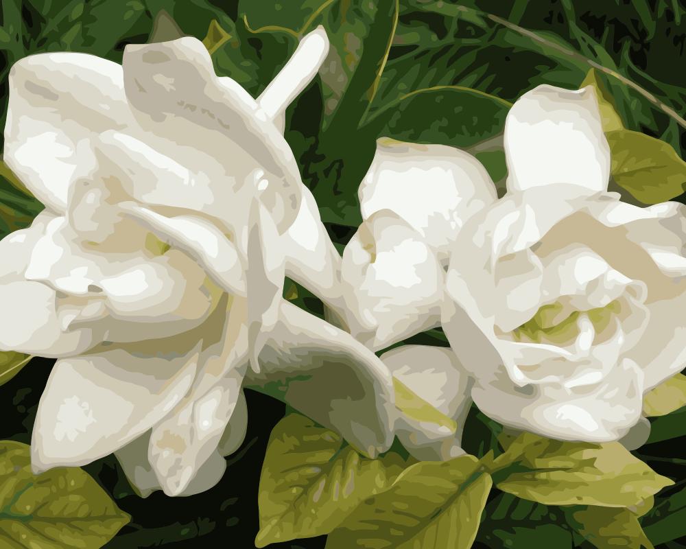 1000x800 Mahuaf I925 Pure Gardenia Painting By Numbers Flowers Diy Oil - Gardenia Flower Painting