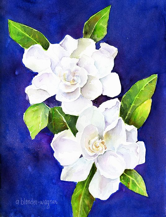 535x700 Flower Painting - Gardenia Flower Painting