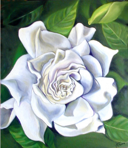 432x500 Flower Paintings By Janis Stevens - Gardenia Flower Painting