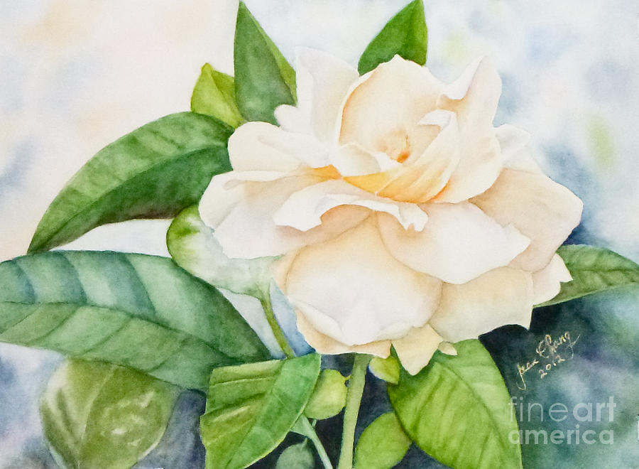 900x660 Gardenia Painting By Jean A Chang - Gardenia Flower Painting
