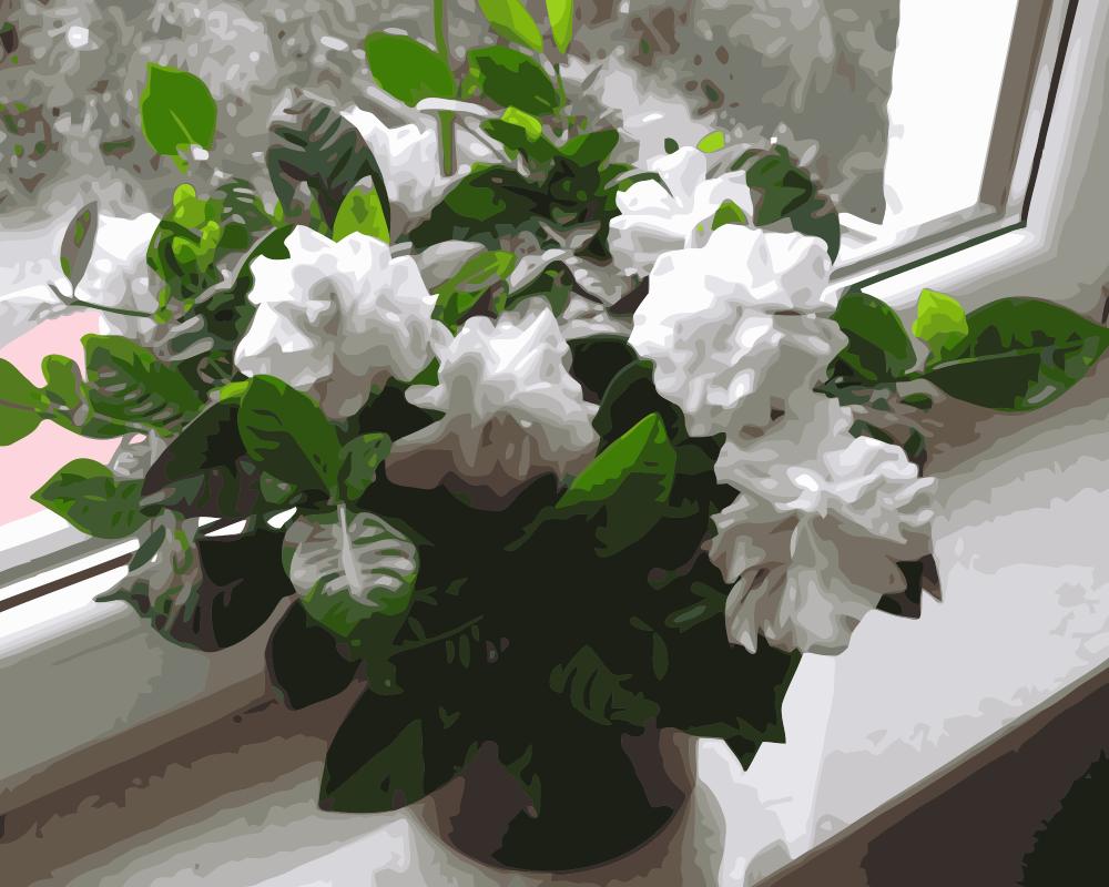 1000x800 Mahuaf I920 Pure Gardenia Painting By Numbers Flowers Diy Oil - Gardenia Painting