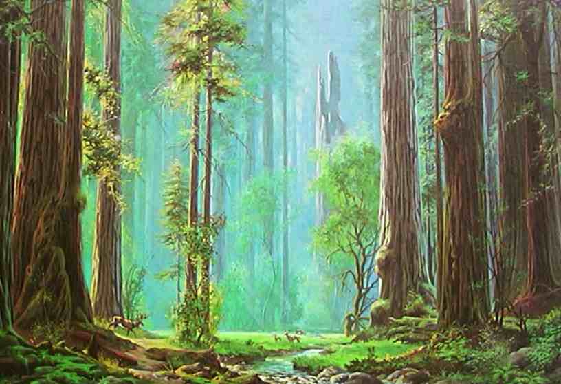 816x558 - Gare Tree Painting