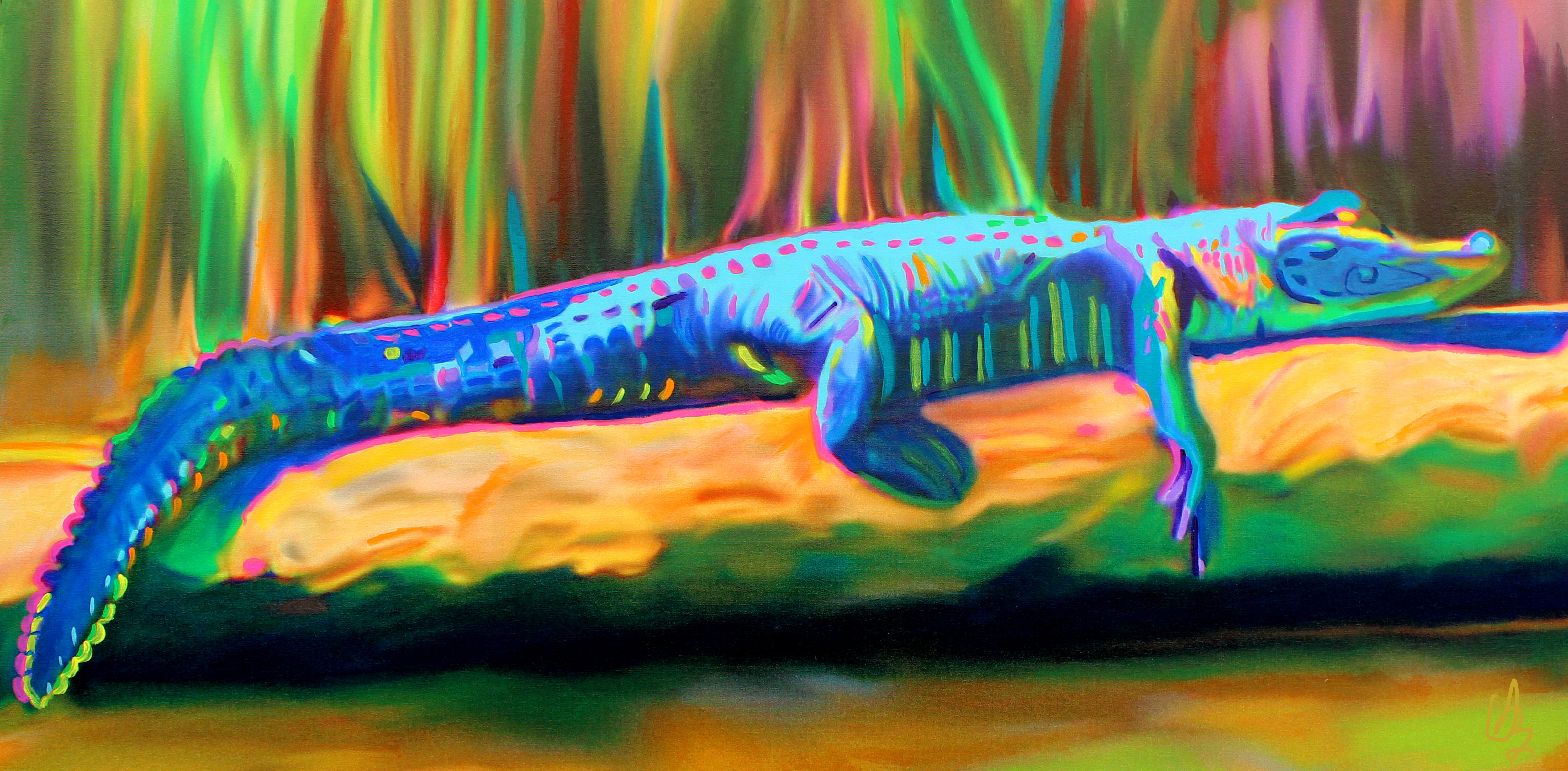 8137x4000 Own A Debbie Affordable Art For Everyone Page 8 - Gator Painting