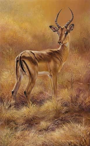 309x500 Joni Johnson Godsy Wildlife Art Art~animals - Gazelle Painting