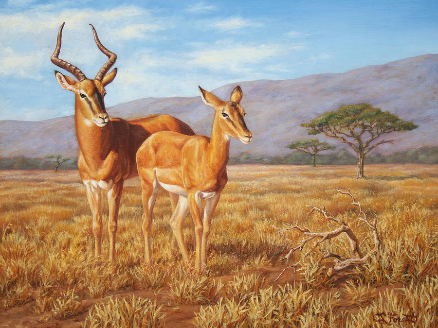 900x675 Persistence Painting By Crista Forest - Gazelle Painting