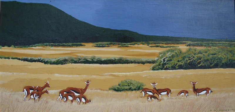 800x383 Thomson's Gazelle Painting. Other African Wildlife Amp Landscape - Gazelle Painting