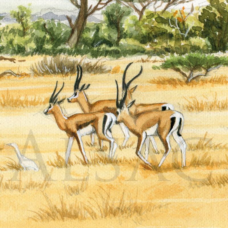 800x800 Favorite Tree Painting Leopard Detail2 - Gazelle Painting