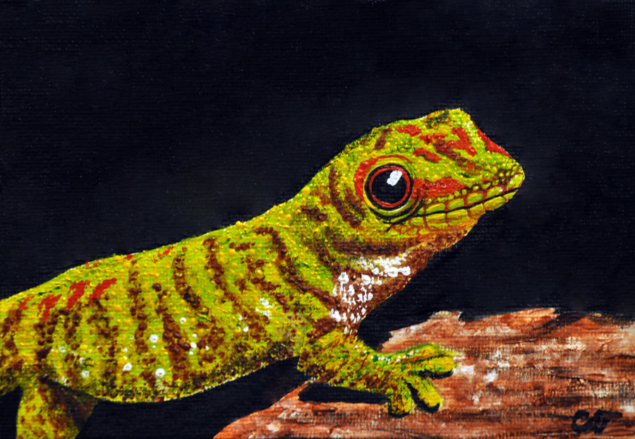 900x622 Bright Gecko Painting By Iloveanimeandmanga - Gecko Painting