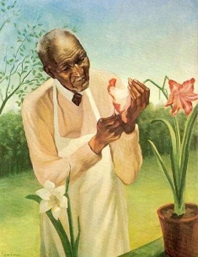 400x519 George Washington Carver Paintings ~ Wcdf - George Washington Carver Painting