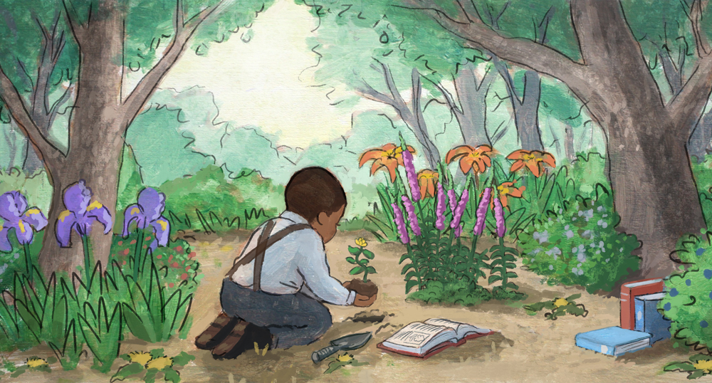 1000x538 George Washington Carver John Hare - George Washington Carver Painting