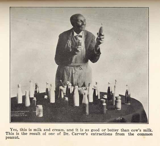 563x514 George Washington Carver - George Washington Carver Painting