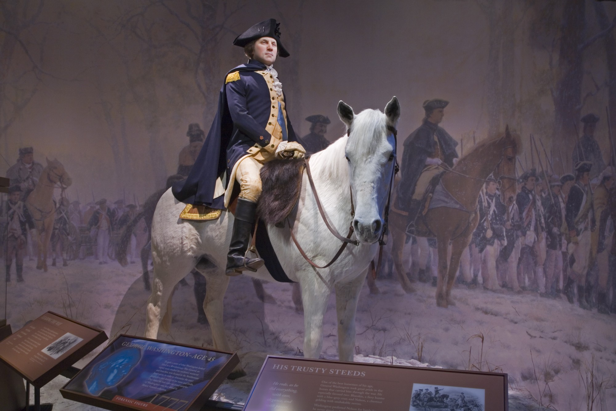 Washington Horse Painting at Explore