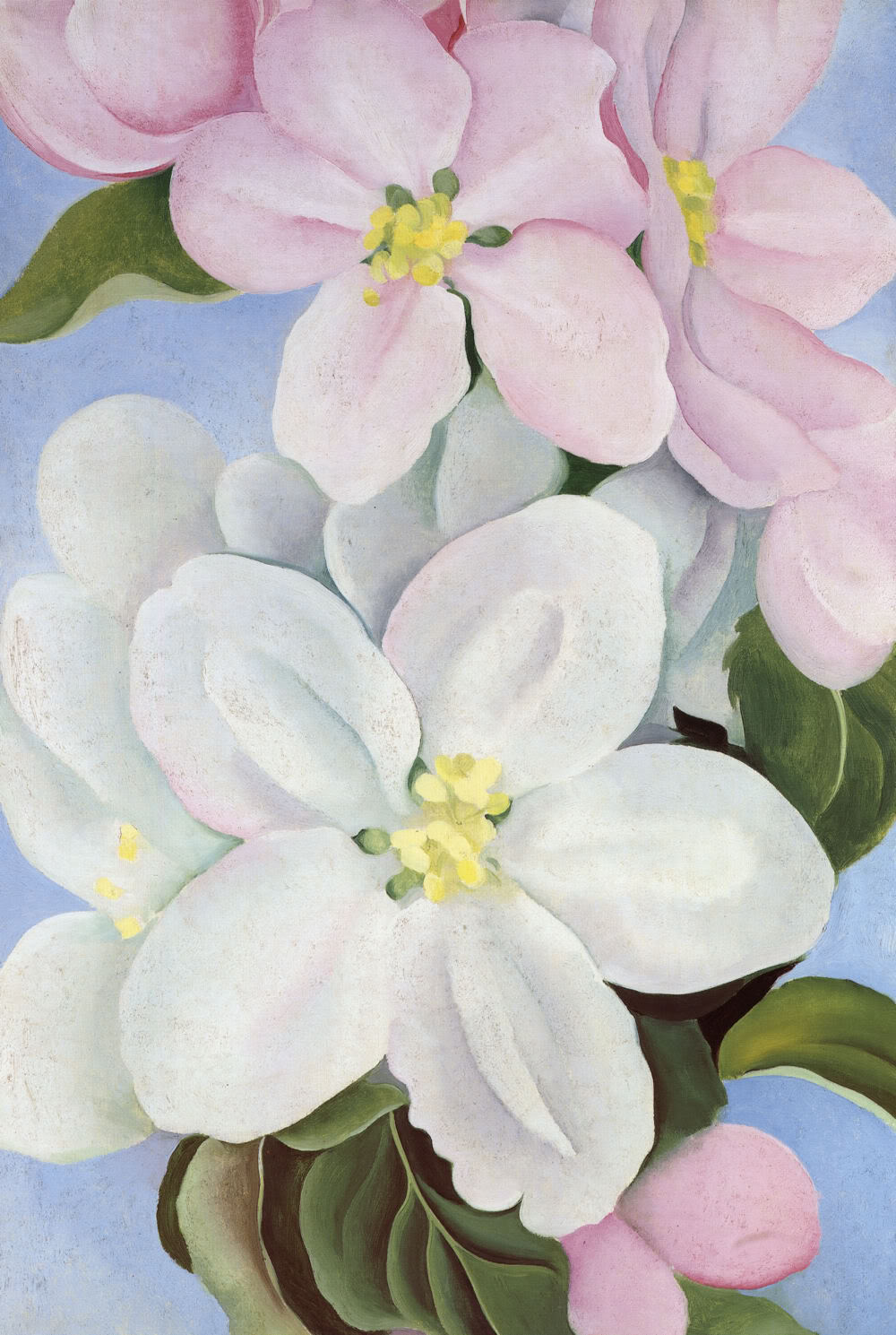 1000x1489 O'Keeffe, Georgia Fine Arts, Before 1945 The Red List - Georgia O Keeffe Painting