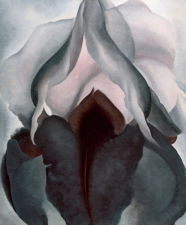 620x752 What Do You See In Georgia O'Keeffe's Flowers Art Agenda - Georgia O Keeffe Painting
