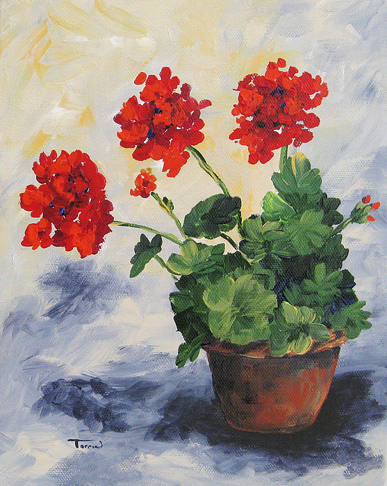 557x700 Porch Geraniums Painting By Torrie Smiley - Geranium Painting