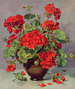 254x300 Red Geraniums Paintings Fine Art America - Geranium Painting