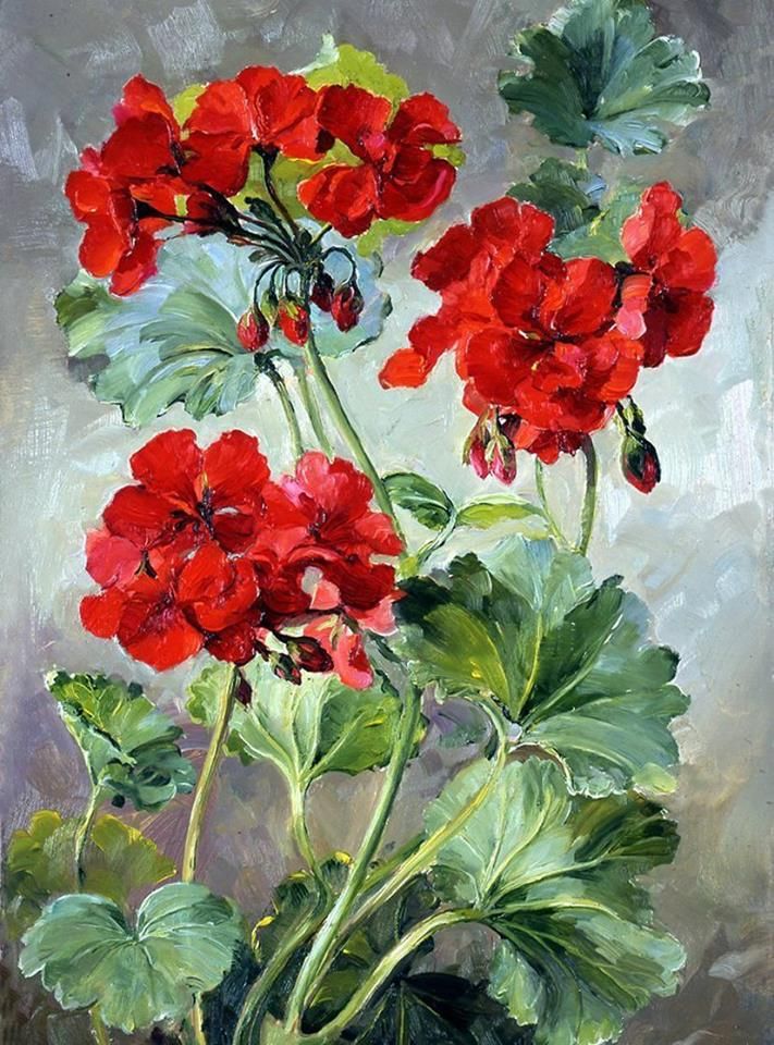 711x960 Geranium By Nina Maslova Flowers Art Flowers - Geranium Painting