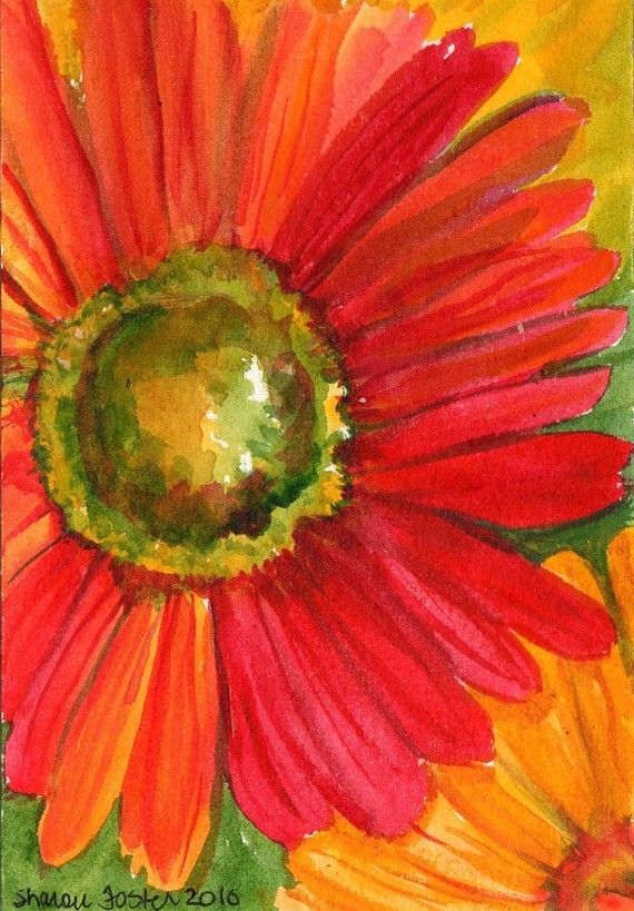 570x819 Gerbera Daisy Original Watercolor Painting 5 X 7 Flower Painting - Gerber Daisy Painting