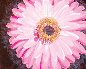 300x240 Social Artworking Pink Gerbera Daisy - Gerber Daisy Painting