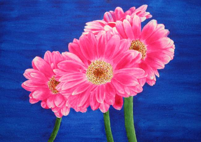 650x460 Stunning Gerbera Daisy Painting Reproductions For Sale On Fine - Gerber Daisy Painting