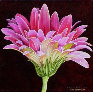 300x297 Gerbera Daisy Paintings - Gerbera Daisy Painting