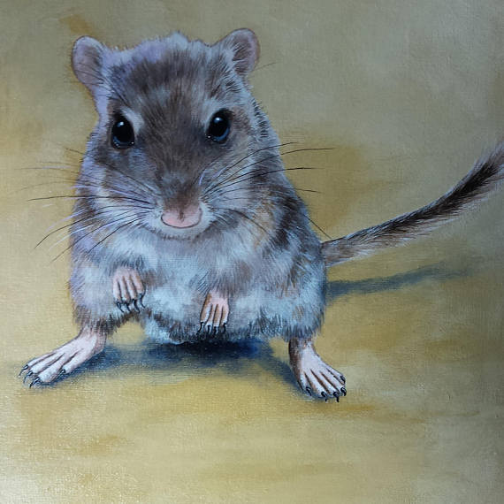 Gerbil Painting at PaintingValley.com | Explore collection of Gerbil ...