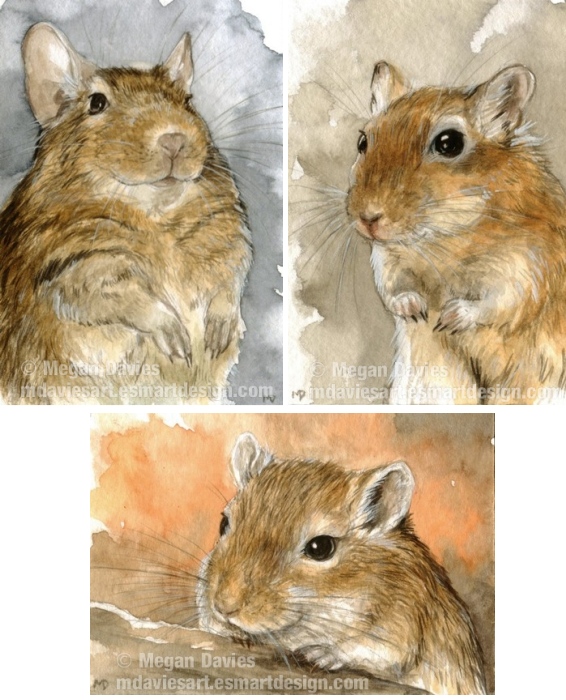 566x700 Degu And Gerbils By Pannya - Gerbil Painting