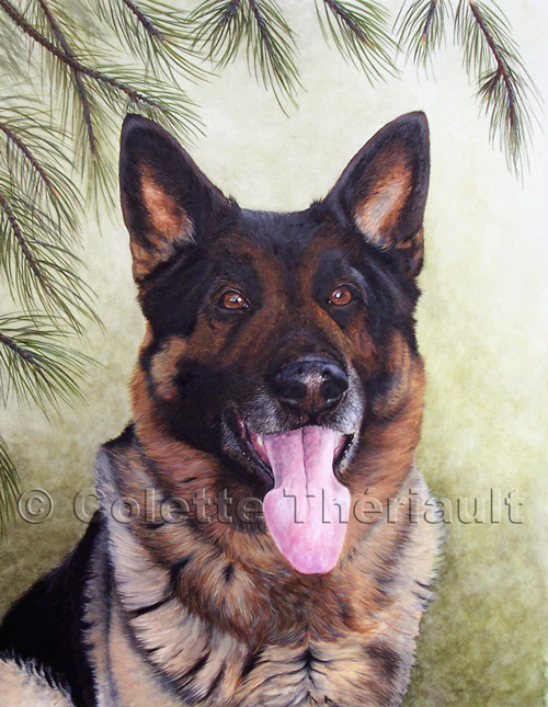 500x645 German Shepherd Dog Painting Pet Portraits Drawing Custom Graphite - German Shepherd Dog Painting