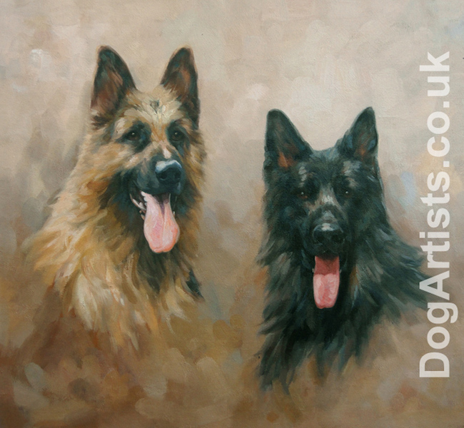 650x600 German Shepherd Portrait With Studio Background Dog Artists - German Shepherd Dog Painting