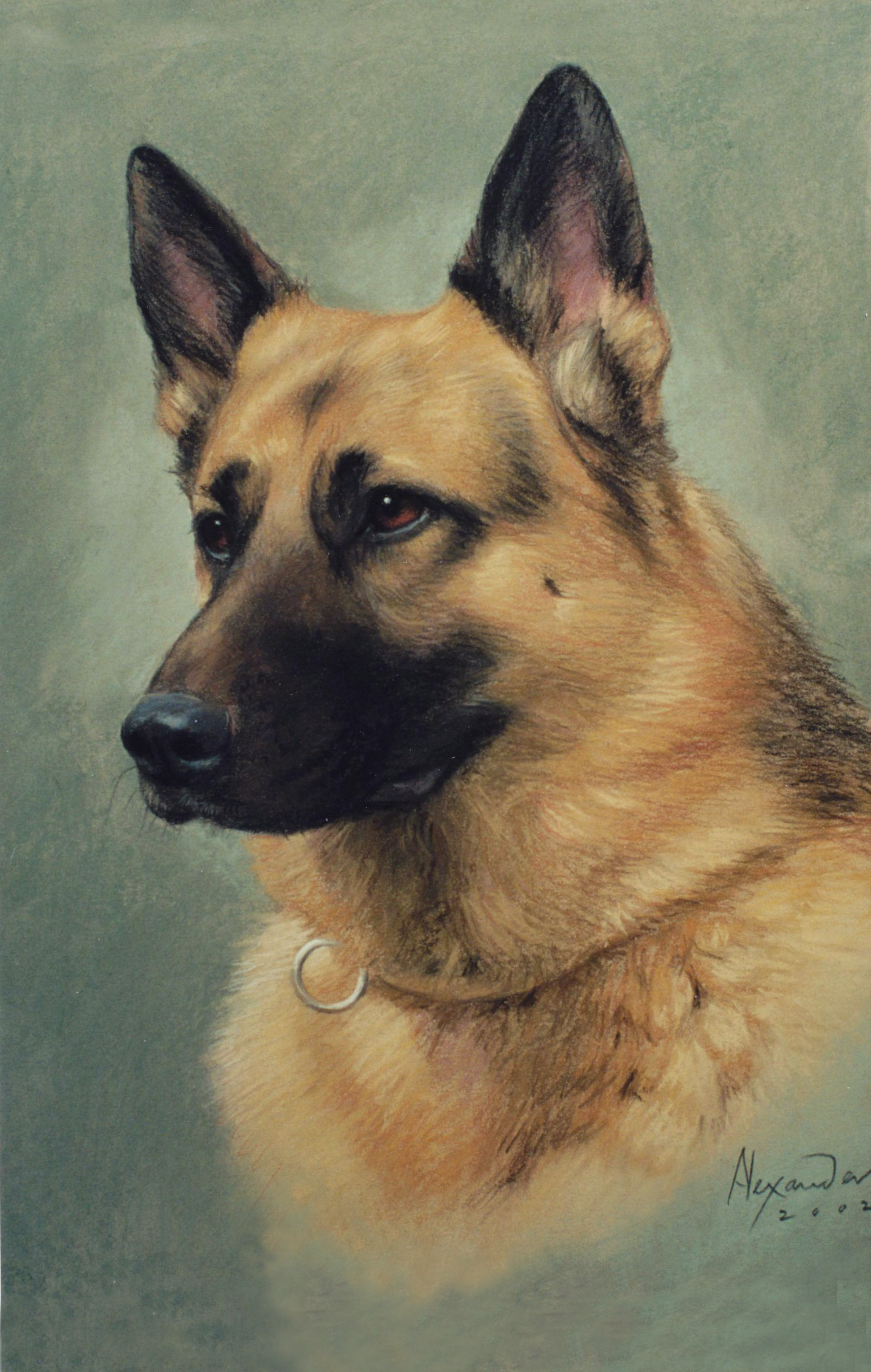 How To Paint A German Shepherd Step By Step Visual Motley