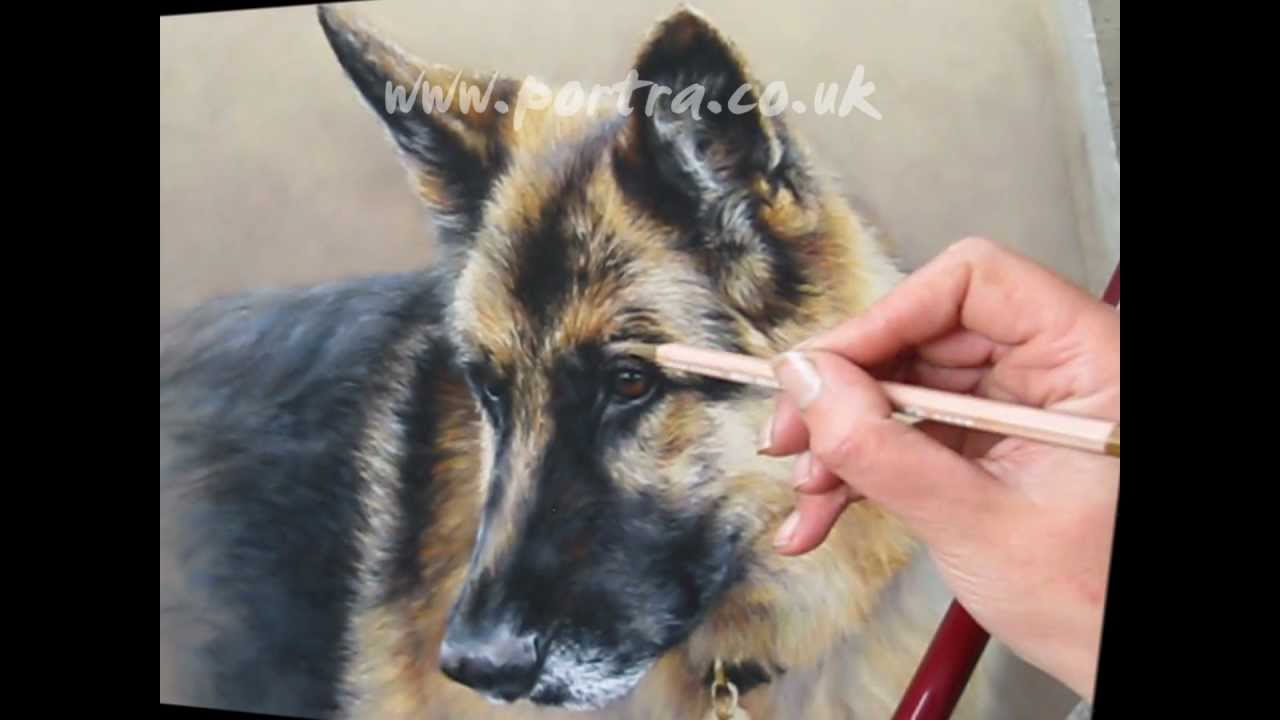 1280x720 Speed Painting - German Shepherd Dog Painting