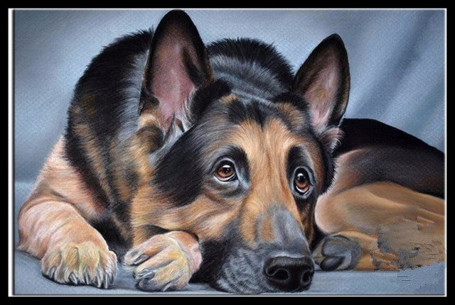 640x430 5d Diamond Embroidery Diy Diamond Painting German Shepherd Diamond - German Shepherd Painting