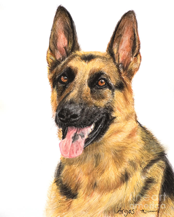 720x900 German Shepherd Painting Portrait Pastel By Kate Sumners - German Shepherd Painting