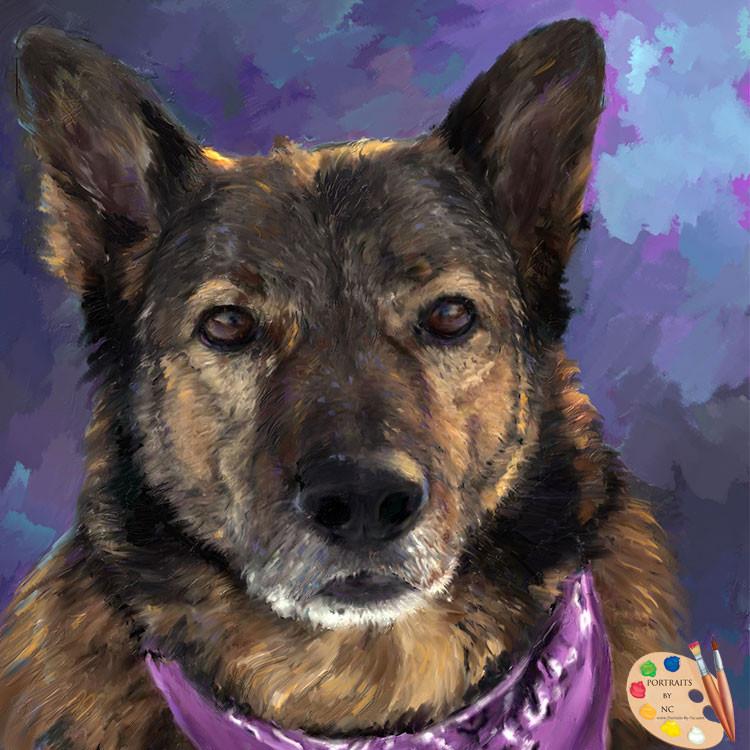 750x750 German Shepherd Painting From Photo 259 Portraits By Nc - German Shepherd Painting