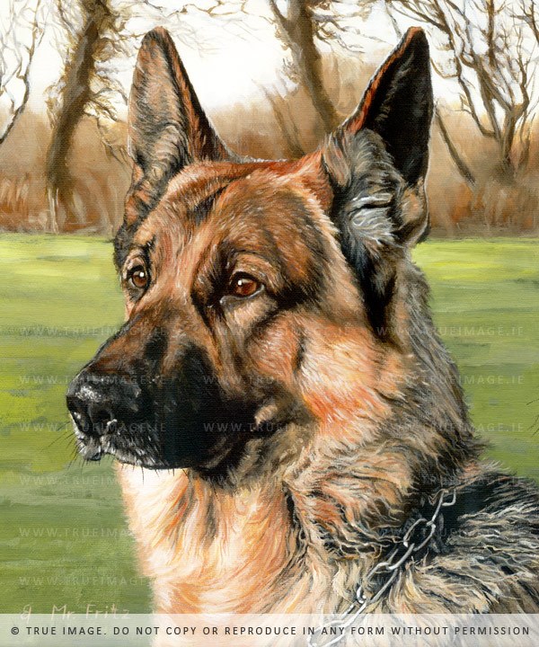 600x720 Black German Shepherd Painting True Image Fine Art - German Shepherd Painting