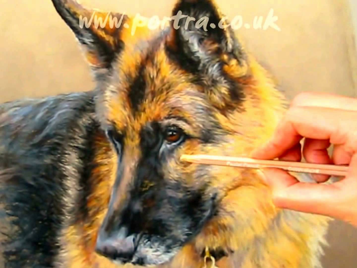1440x1080 German Shepherd - German Shepherd Painting