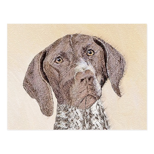 540x540 German Shorthaired Pointer Painting - German Shorthaired Pointer Painting