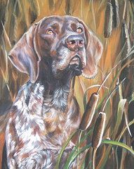 191x240 German Shorthaired Pointer Paintings - German Shorthaired Pointer Painting