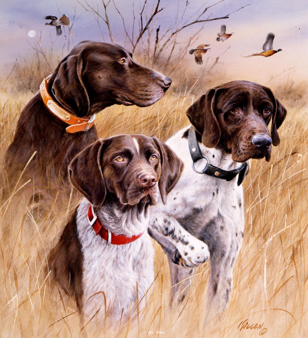 1000x1096 Great Hunting Dogs - German Shorthaired Pointer Painting