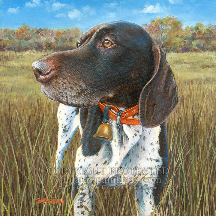 German Shorthaired Pointer Painting at PaintingValley.com | Explore ...