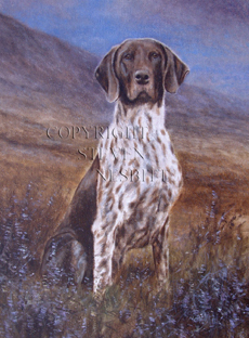 230x312 Pictures Prints Paintings By Steven Nesbitt - German Shorthaired Pointer Painting
