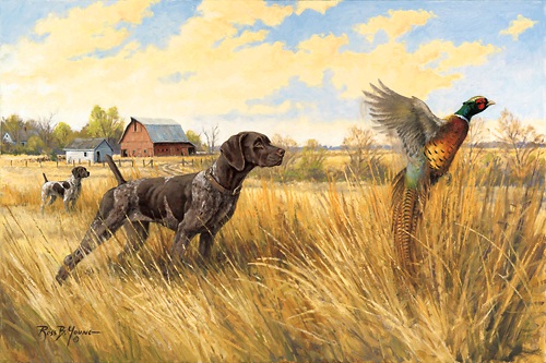 500x333 Standing Tall, German Shorthair Pointer And Pheasant Artwork - German Shorthaired Pointer Painting