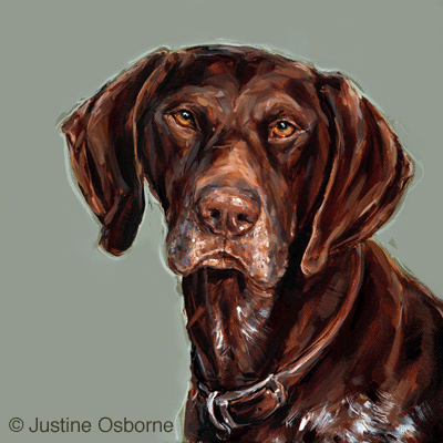 German Shorthaired Pointer Painting at PaintingValley.com | Explore ...