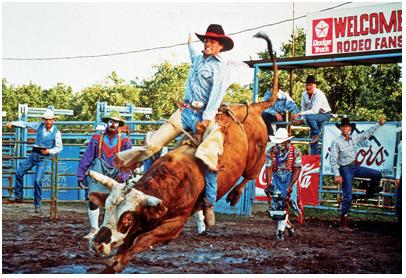 406x278 Hurricane Audra's Almanac Rodeo Movies To Get - Get Er Done Painting