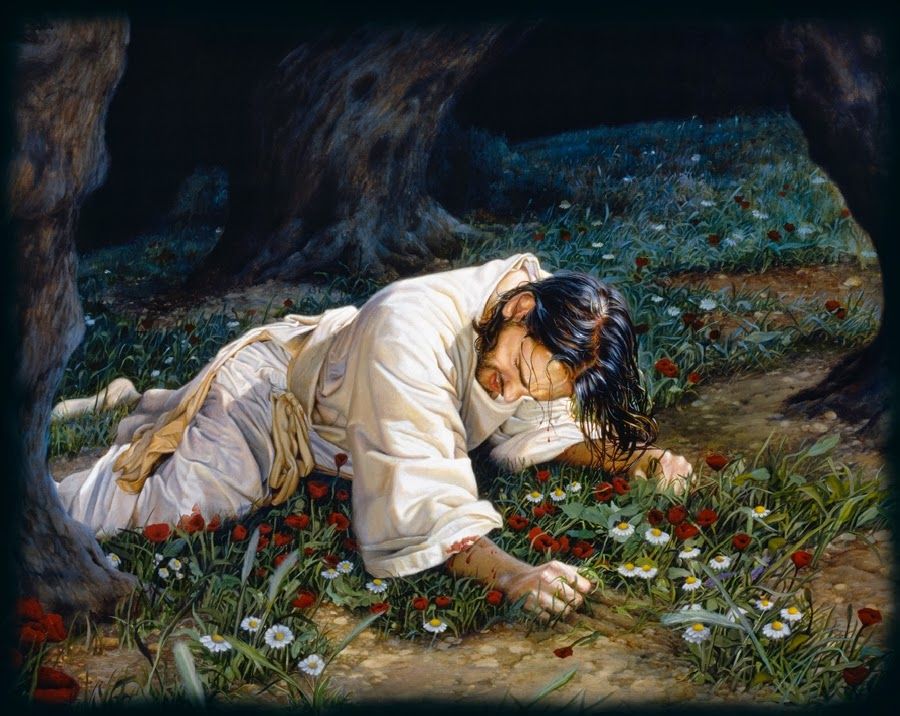 900x716 The Red Flowers In This Painting Of Jesus In Gethsemane Are Almost - Gethsemane Painting