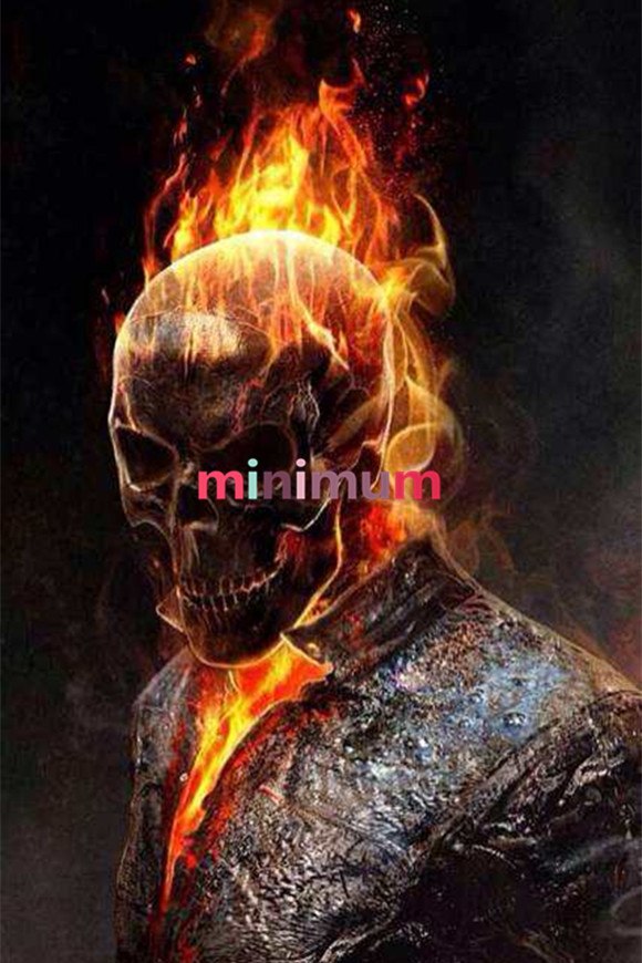 580x870 Full Diamond Painting Kit Diamond Mosaic Cross Stitch Plants Ghost - Ghost Rider Painting