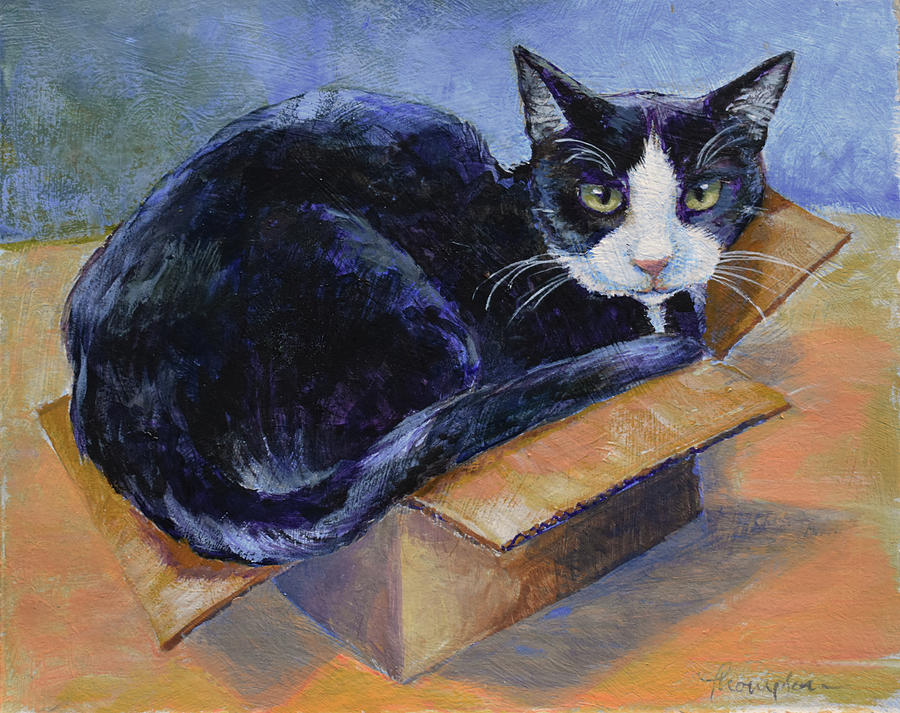 900x713 Large Cat, Small Box Painting By Tracie Thompson - Giant Cat Painting