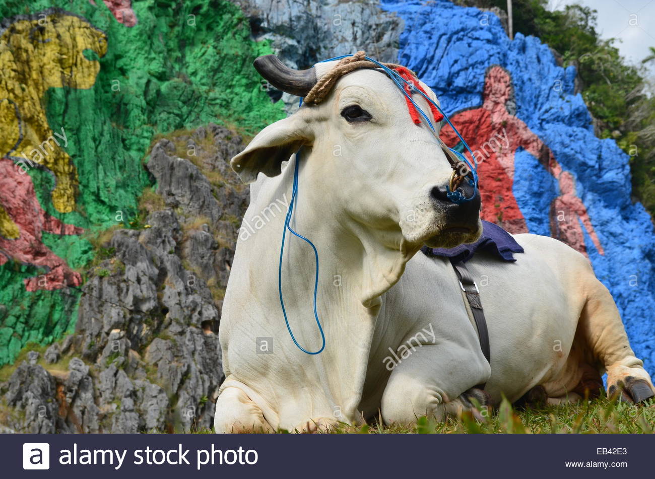 1300x951 Mural De La Prehistoria, A Giant Mural Painted On A Cliff Face - Giant Cow Painting