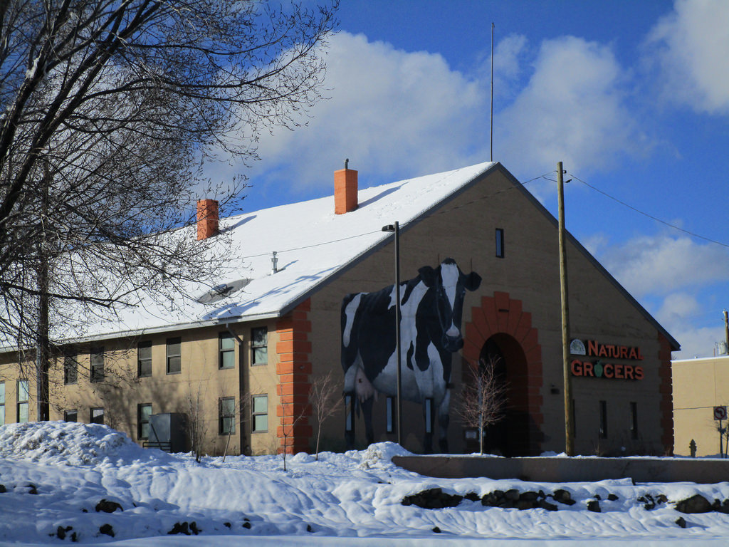 1024x768 Route 66, Signage Amp Giant Cow Painted On Building, - Giant Cow Painting
