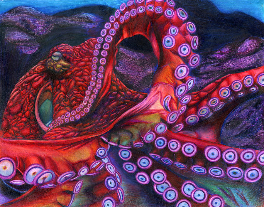 900x705 Giant Pacific Octopus By Erick Villegas Drawing By California - Giant Octopus Painting